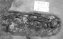 Уникальной находкой ученых стало погребение шаманки. В могильной яме археологи обнаружили скелет, обернутый в бересту. По костным останкам специалисты определили, что это погребение человека женского пола в возрасте 14–15 лет. Рядом с девочкой в могильнике был обнаружен сопроводительный инвентарь – костяной игольник и кожаный мешочек, внутри которого были спрятаны бронзовый колокольчик, серебряная бляшка и 11 пластин из костей косули.
